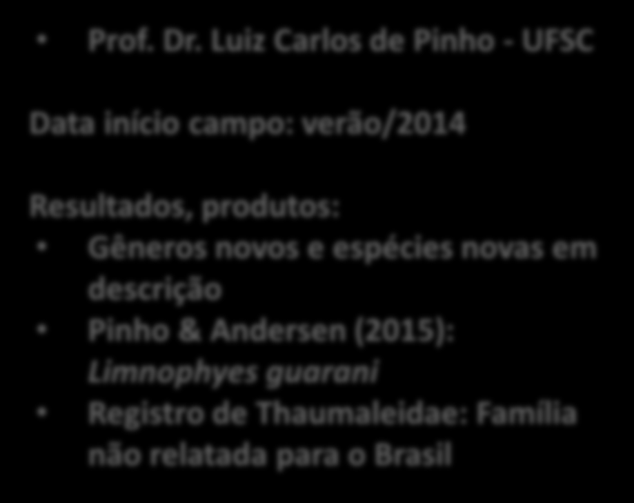 produtos: Gêneros novos e espécies novas em descrição Pinho &