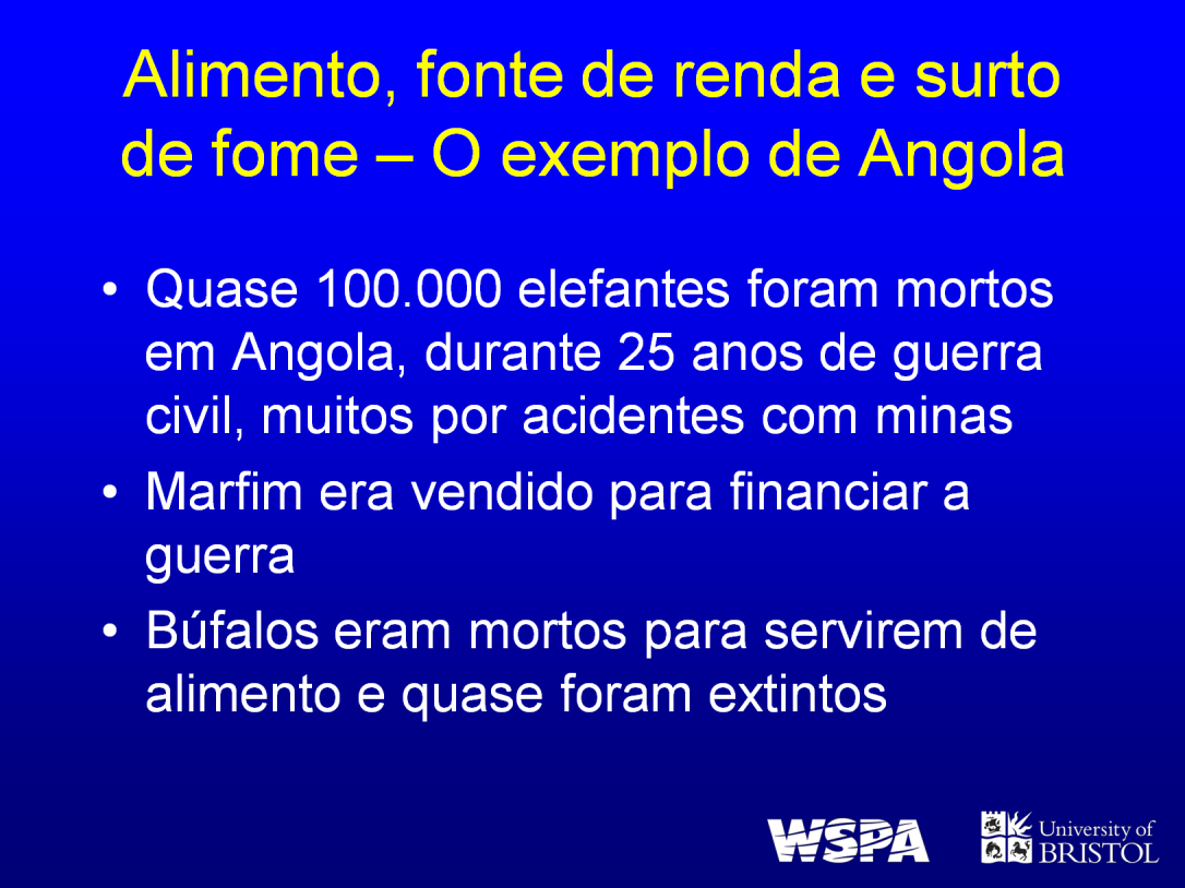 Quase 100.000 elefantes foram mortos em Angola durante 25 anos de guerra civil, muitos deles por acidentes com minas, e seu marfim foi vendido para financiar a guerra.