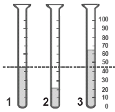 30) (Mack-2005) Os esquemas abaixo representam estruturas respiratórias presentes em vertebrados. Assinale a alternativa correta.