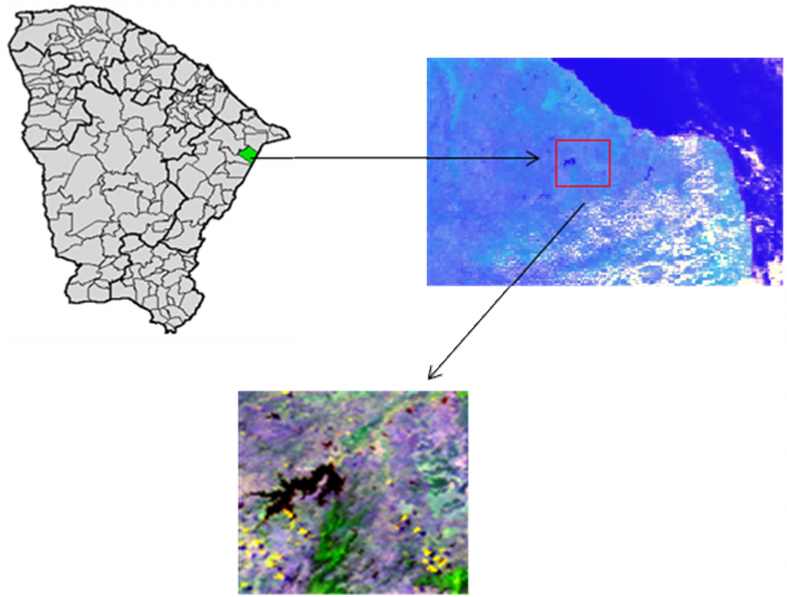 heterogêneas no Ceará. Os resultados mostraram que os parâmetros estudados para os das chuvosos são bastante coerentes. DANTAS et al.