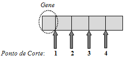 Capítulo 2 Base Conceitual e Revisão da Literatura O crossover com 1-partição consiste na escolha aleatória de somente um ponto de corte ao longo da cadeia codificada e as sequências de código de