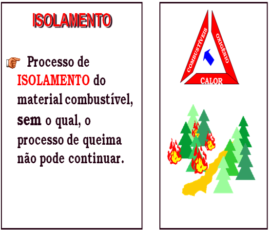 AS FASES DO DESENVOLVIMENTO DOS INCÊNDIOS SÃO: ECLOSÃO: Início do incêndio, caracterizado pelo surgimento das chamas.