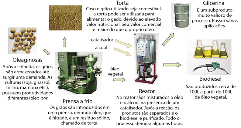 Apesar do etanol e do biodiesel produzirem dióxido de carbono, quando queimados, a quantidade de gás gerado por grama de biocombustível é menor do que os derivados de petróleo.