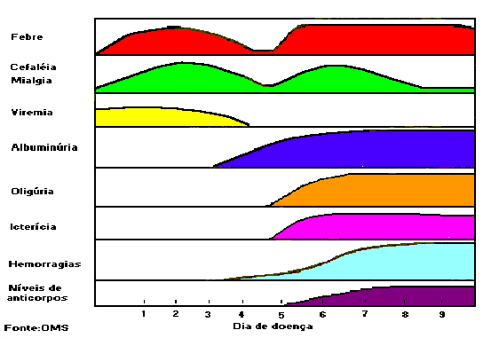 Tempo de duração das principais