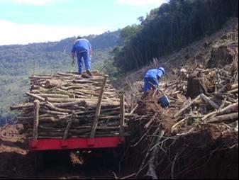 Limpeza dos Reservatórios Remoção da lenha Arraste de