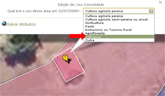 área(s), informe qual era seu uso antes de 22/07/2008 na lista que aparece no sistema.