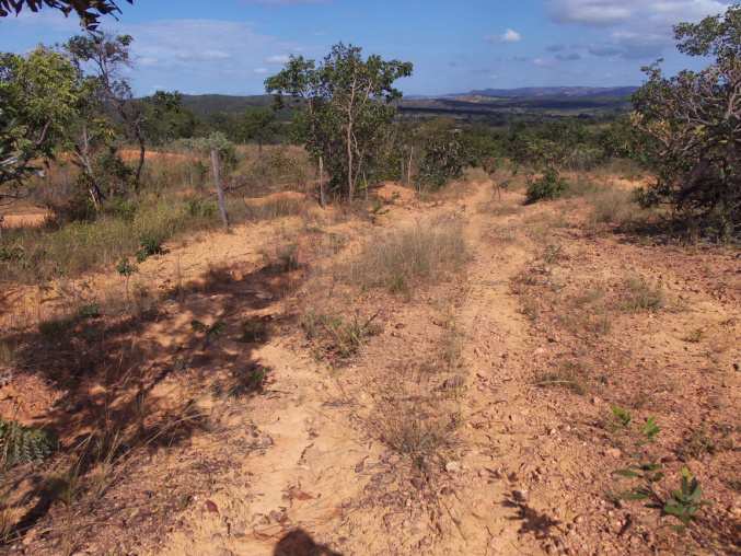 e. Propriedade de João Tuyama Asajiro Fazenda