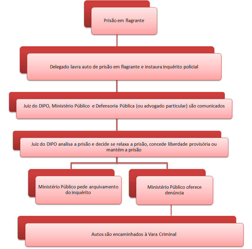 Qualidade dos autos Crimes como furto, roubo e tráfico de drogas, pelos quais grande parte dos suspeitos é mantida presa provisoriamente, são em sua maioria casos de prisão em flagrante realizada