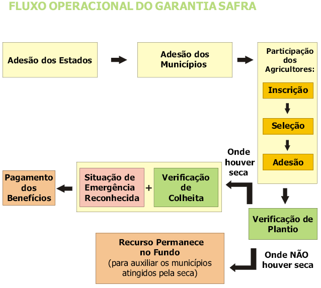 FLUJO OPERACIONAL DEL GARANTIA-SAFRA Adhesión de los Estados Adhesión de los Municipios Participación de los agricultores Inscripción Pago de los Beneficios Regularidad de los Aportes Estadual e