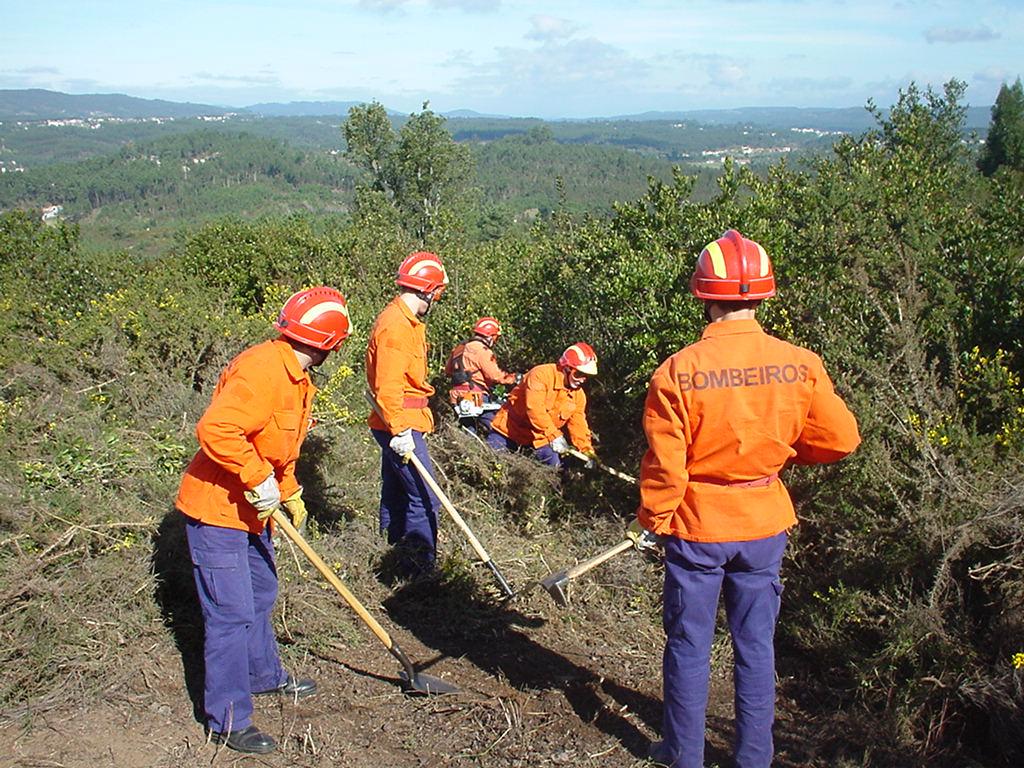 MEIOS DE COMBATE A INCÊNDIOS FLORESTAIS Ferramentas manuais de combate: