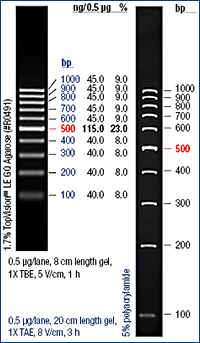 Anexo VI. Marcador de peso molecular 100 pb DNA Ladder Figura 9.