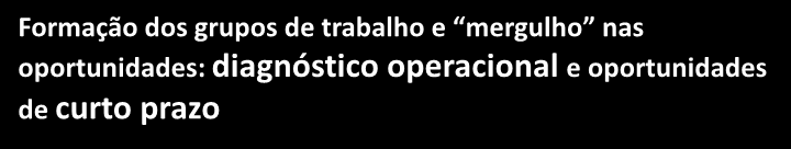 Três frentes de trabalho foram criadas Formação dos grupos de trabalho e mergulho nas oportunidades: diagnóstico operacional e oportunidades de curto prazo Revisão