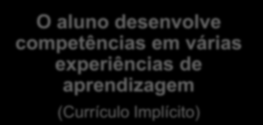 Revendo conceitos: o que é o Currículo?