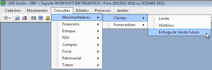 4 - Consulta Através do caminho Consultas l Movimentadores l Clientes l