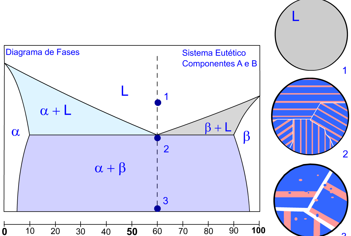 parcial. (ex Pb-Sn) Reação Eutética: Primeiro beta se forma a partir de um processo de nucleação e crescimento na fase líquida (L beta).
