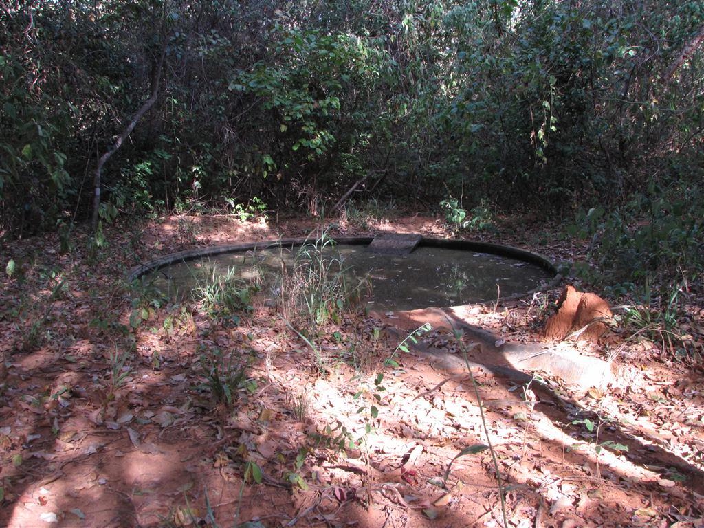 Figura 06: Localização do Parque Nacional da Serra da Capivara na Caatinga do Piauí.