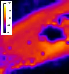 Anexos A.2 Imagens de microfluorescência de raios X (µxrf) (a) (b) (c) (d) Figura A.