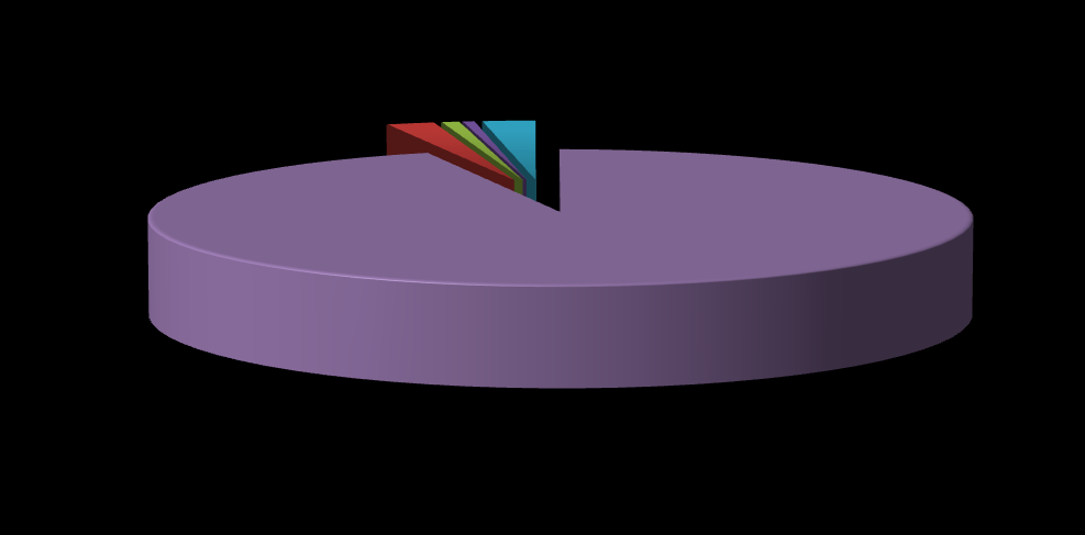 I.4.1 Estado que nasceu A maioria da população, 94,42%, nasceu no estado do Rio Grande do Sul.