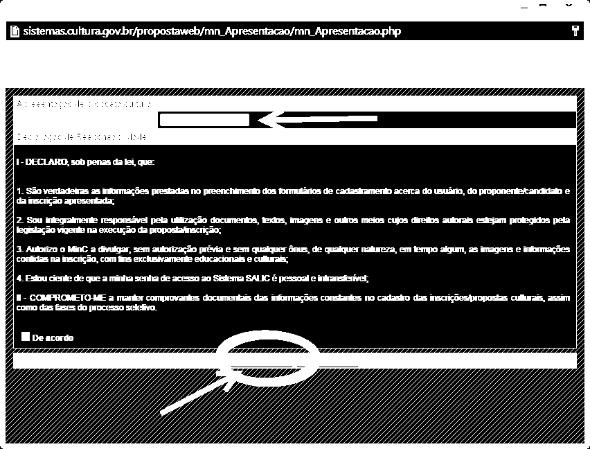 Apresentar Proposta Cultural Agora você vai incluir os dados do PROPONENTE/CANDIDATO, iniciando pelo CPF/CNPJ.