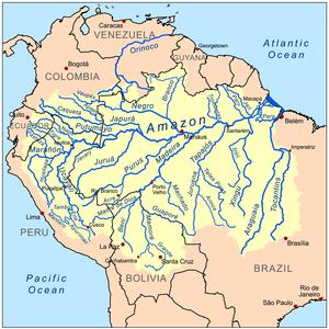 BACIA AMAZÔNICA Rio principal: Rio Amazonas; Afluentes: Rios Negro, Solimões,