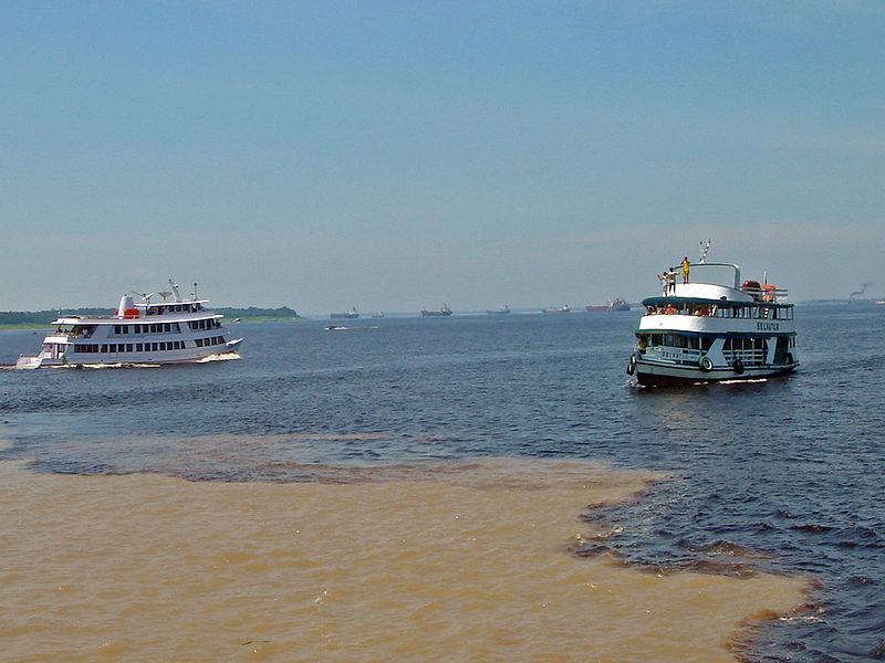 Rio Amazonas Nascente: Peru Extensão: 6992 km Volume: 20%