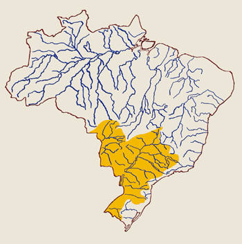 BACIA PLATINA Rio principal: Rio da Prata; É formada por três
