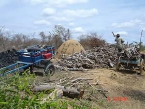 CAATINGA PROBLEMAS AMBIENTAIS Avanço de propriedades rurais sobre a vegetação, o desmatamento para
