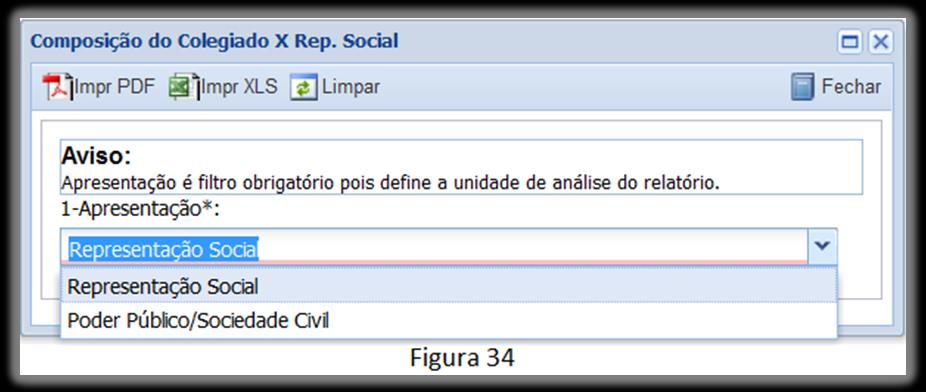 Social será carregada uma janela em que é possível conferir a composição do Colegiado a partir do cruzamento da Representação Social ou Poder Público/ Sociedade Civil (figura 34).