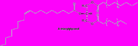 Bioquímica