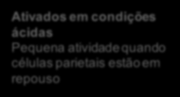 Ativação dos inibidores da bomba de prótons Ativados em condições ácidas Pequena atividade quando células parietais estão em repouso Meio ácido Bomba de prótons com resíduos