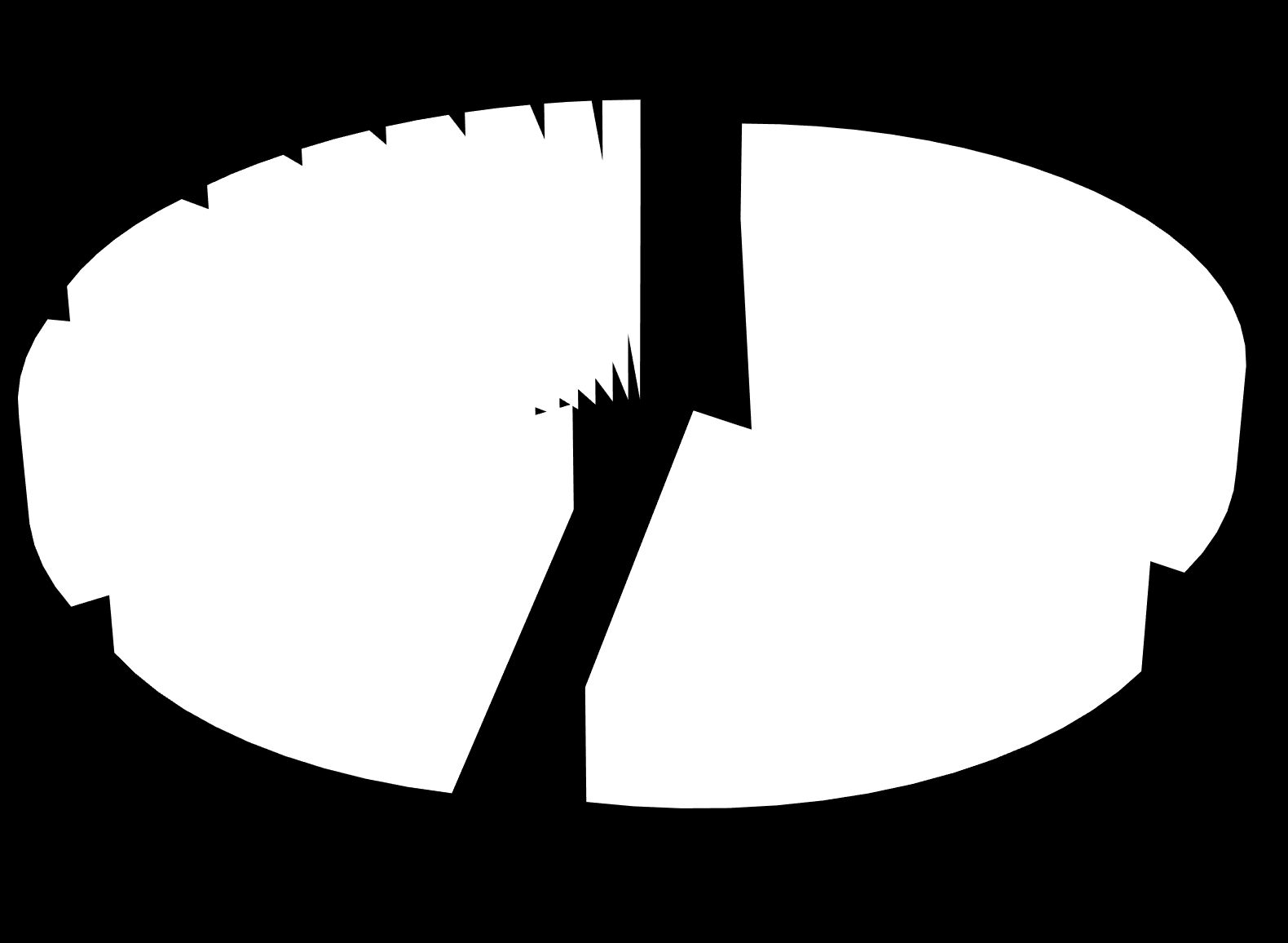 Formação dos diretores 12,0% 1,8% 2,8% 2,5% 2,5% 1,4% 3,5% 7,4% 34,5% Cinema e Audiovisual Publicidade