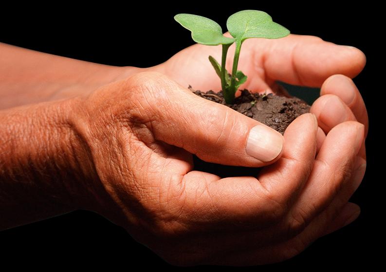 sustentabilidade e enaltece o maior trabalho da terra 2013 Jul