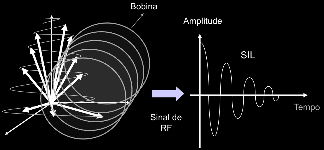 Faz com que os núcleos precessem, simultaneamente (Mazzola, 2009); Figura 9 Pulsos de RF e sua nomenclatura.