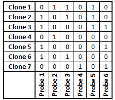 51 Figura 28 - Clones e Probes (YANAMOTO, 2004) matriz binária.