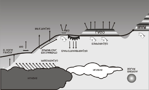 superfície do solo e dos oceanos. A parcela da água precipitada sobre a superfície sólida pode seguir duas vias distintas que são: escoamento superficial e infiltração.