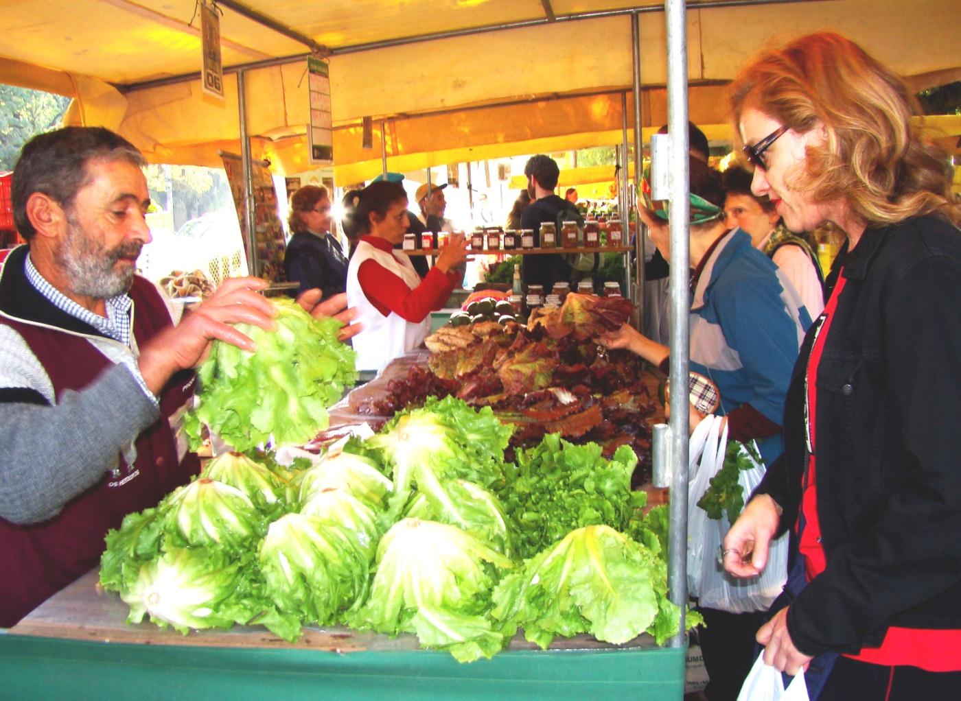 Participação em feiras ecológicas