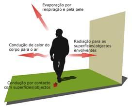 SALUBRIDADE E CONFORTO AMBIENTAL