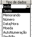 Como exemplo, ilustraremos a criação de uma AGENDA PESSOAL, para registrar eletronicamente os dados pessoais e comerciais de seus contatos.