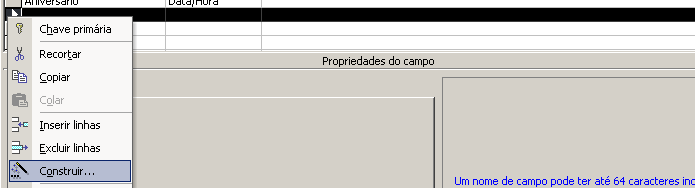 25 Selecione o campo que fica logo a seguir ao local onde deseja inserir o novo. No exemplo, o campo Aniversário. Clique acima no Menu Inserir e escolha Linhas de Registro. Uma nova linha será aberta.