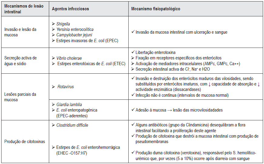 Com o surgimento da síndrome de imunodeficiência adquirida (SIDA), Cryptosporidium sp.