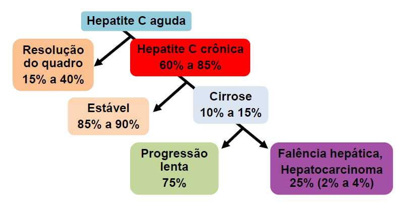 16 viral há atividade necroinflamatória envolvendo os compartimentos lobular e portal, gradativamente, justificando a ausência de sintomas (JO et al., 2011; CHEENT; KHAKOO, 2011).