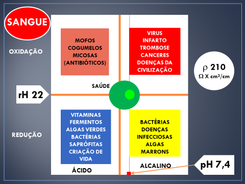 Temperatura Humidade ph Oxigênio - NUTRIENTES - Velocidade do trânsito intestinal «Para a microbiota intestinal, a competição pelo meio nutritivo, representa o fator mais lógico e poderoso que temos