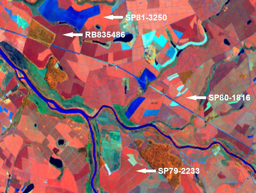 FIGURA 3 Utilização de imagens de satélite e geoprocesamento no CTC - Landsat FONTE: ALVARENGA NETO, 2005.