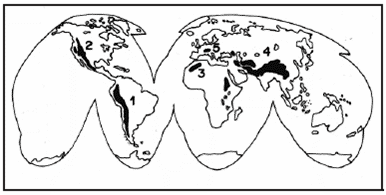 Os fenômenos naturais representados acima têm a mesma origem, que está ligada aos movimentos sísmicos ocorridos no período terciário da Era Cenozóica.