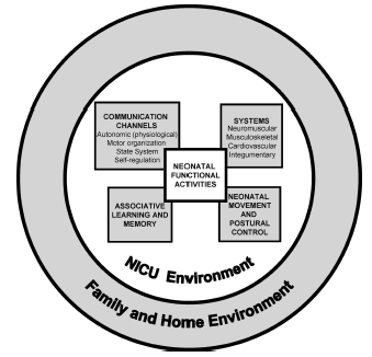 Na UCIN, as componentes do sistema dinâmico incluem o seguinte: A constituição biológica da criança (isto é, fisiológica, comportamental, física, social e elementos psicológicos); A componente
