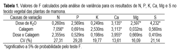 CALAGEM A mamoneira prefere solos com ph entre 5 e 6,5, produzindo em solos de ph até 8,0.; Solos ácidos como alcalinos tem efeito negativo no crescimento e desenvolvimento das plantas.