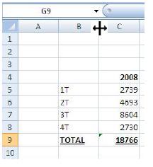 Nas versões do Excel anteriores à de 2010, e quando se tratava de um valor numérico, o fato era indicado através da exibição de sinais de cardinal #.