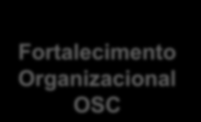 Factores de Sustentabilidade - Organizações fortalecidas mais eficazes na resposta aos desafios de desenvolvimento local - Fortalecimento Organizacional OSC Co-implementação de Projetos de Inovação
