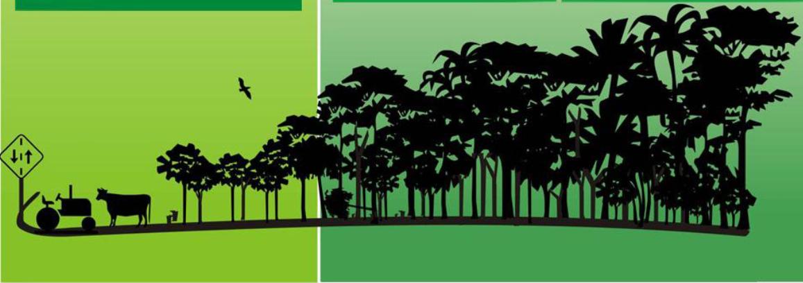 ACRE - Programa de Serviços Ambientais Carbono O programa abrange todas as terras e tipos de uso, incluindo os diversos usos agrícolas que impactam as florestas do Acre O programa não se limita ás