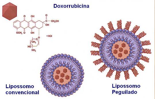 AGENTES INTERCALADORES DOXORRUBICINA ANTRACICLINAS Indicação: leucemia, linfoma, mieloma múltiplo, osteosarcoma, outros Mesmas recomendações